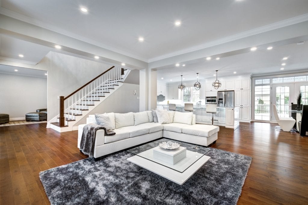 minimalist and luxurious living room