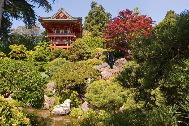 The Japanese Garden